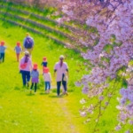 Thumbnail of post image 078